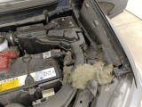  Nissan  X-Trail Nissan  DIG-T 160 DCT Tekna 5d #57