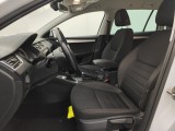 Skoda  Octavia Skoda  Combi 1.6 CRTDI GreenTec 85kW DSG7 Ambition 5d #3