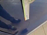  Bmw  X3 BMW  / 2017 / 5P / SUV XDRIVE 30E BUSINESS ADVANTAGE #82