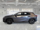  Lexus  UX LEXUS  / 2018 / 5P / SUV HYBRID EXECUTIVE 4WD #8