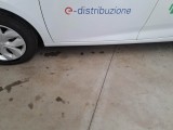  Renault  Zoe RENAULT  / 2013 / 5P / BERLINA  LIFE R90 #77