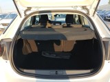  Opel  Corsa  F Edition 1.2 T XHL 100CV MT6 E6d #8