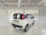  Fiat  Panda FIAT  / 2012 / 5P / BERLINA 900CC NATURAL POWER EURO6D VAN 2 P. POP #2