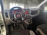  Fiat  Panda FIAT  / 2012 / 5P / BERLINA 900CC NATURAL POWER EURO6D VAN 2 P. POP #3