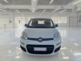  Fiat  Panda FIAT  / 2012 / 5P / BERLINA 900CC NATURAL POWER EURO6D VAN 2 P. POP #2