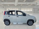 Fiat  Panda FIAT  / 2012 / 5P / BERLINA 900CC NATURAL POWER EURO6D VAN 2 P. POP #3