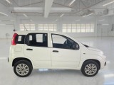  Fiat  Panda FIAT  / 2012 / 5P / BERLINA 900CC NATURAL POWER EURO6D VAN 2 P. POP #7