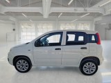  Fiat  Panda FIAT  / 2012 / 5P / BERLINA 900CC NATURAL POWER EURO6D VAN 2 P. POP #4
