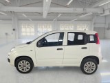  Fiat  Panda FIAT  / 2012 / 5P / BERLINA 900CC NATURAL POWER EURO6D VAN 2 P. POP #8