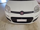  Fiat  Panda FIAT  / 2012 / 5P / BERLINA 1.3 MJT 80 CV VAN EURO6 SeS 4 POSTI EASY #25