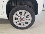  Fiat  Panda FIAT  / 2012 / 5P / BERLINA 900CC NATURAL POWER EURO6D VAN 2 P. POP #17