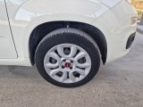  Fiat  Panda FIAT  / 2012 / 5P / BERLINA 900CC NATURAL POWER EURO6D VAN 2 P. POP #53