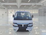  Piaggio  Porter PIAGGIO  / 2009 / 2P / CASSONE RIBALT. PIANALE RIBALTABILE EXTRA 1.5T #6