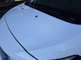  Peugeot  Expert PEUGEOT  / 2016 / 4P / FURGONE 2.0 BLUEHDI 180 SeS PREMIUM STANDARD AUT #22