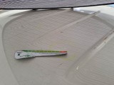  Piaggio  Porter PIAGGIO  / 2009 / 2P / CASSONE RIB.LAT. PIANALE CORTO EXTRA 1.5T #22
