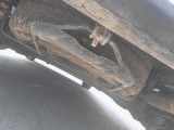  Citroen  Berlingo  Combi Live M 1.5 BlueHDi 100CV MT5 E6dT #10