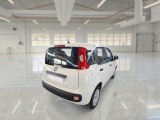  Fiat  Panda FIAT  / 2011 / 5P / BERLINA 1.2 69CV SeS E6D-TEMP EASY #2