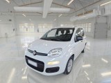  Fiat  Panda FIAT  / 2011 / 5P / BERLINA 1.2 69CV SeS E6D-TEMP EASY 
