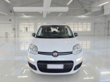  Fiat  Panda FIAT  / 2011 / 5P / BERLINA 1.2 69CV SeS E6D-TEMP EASY #6