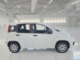  Fiat  Panda FIAT  / 2011 / 5P / BERLINA 1.2 69CV SeS E6D-TEMP EASY #7