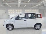  Fiat  Panda FIAT  / 2011 / 5P / BERLINA 1.2 69CV SeS E6D-TEMP EASY #8