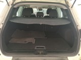  Renault  Kadjar  Business 1.5 dCi 115CV BVA7 E6dT #10