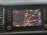  Skoda  Kodiaq  Business 2.0 TDI 150CV BVA7 E6dT #12