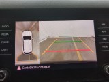  Skoda  Kodiaq  Business 2.0 TDI 150CV BVA7 E6dT #13