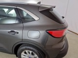  Ford  Kuga FORD  / 2019 / 5P / SUV 1.5 ECOBLUE 120CV 2WD TITANIUM BUS. AUTO #47