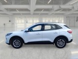  Ford  Kuga FORD  / 2019 / 5P / SUV 1.5 ECOBLUE 120CV 2WD TITANIUM BUS. AUTO #8