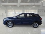  Ford  Kuga FORD  / 2019 / 5P / SUV 1.5 ECOBLUE 120CV 2WD TITANIUM BUSINESS #8