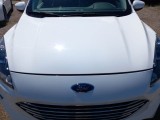  Ford  Kuga FORD  / 2019 / 5P / SUV 1.5 ECOBLUE 120CV 2WD TITANIUM BUS. AUTO #26