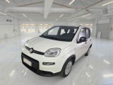  Fiat  Panda FIAT  / 2011 / 5P / BERLINA 1.0 FIREFLY 70CV SeS HYBRID 