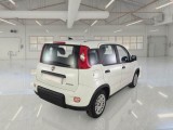  Fiat  Panda FIAT  / 2011 / 5P / BERLINA 1.0 FIREFLY 70CV SeS HYBRID #2