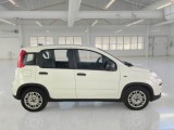 Fiat  Panda FIAT  / 2011 / 5P / BERLINA 1.0 FIREFLY 70CV SeS HYBRID #7