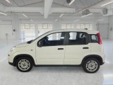  Fiat  Panda FIAT  / 2011 / 5P / BERLINA 1.0 FIREFLY 70CV SeS HYBRID #8