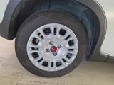  Fiat  Panda FIAT  / 2011 / 5P / BERLINA 1.0 FIREFLY 70CV SeS HYBRID #18