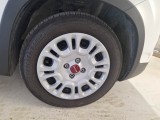  Fiat  Panda FIAT  / 2011 / 5P / BERLINA 1.0 FIREFLY 70CV SeS HYBRID #17