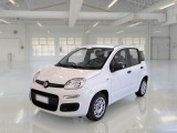  Fiat  Panda FIAT  / 2011 / 5P / BERLINA 1.0 70CV SeS HYBRID 
