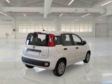 Fiat  Panda FIAT  / 2011 / 5P / BERLINA 1.0 70CV SeS HYBRID #2