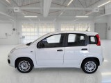  Fiat  Panda FIAT  / 2011 / 5P / BERLINA 1.0 70CV SeS HYBRID #8