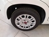  Fiat  Panda FIAT  / 2011 / 5P / BERLINA 1.0 70CV SeS HYBRID #18