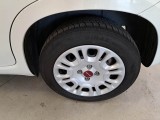  Fiat  Panda FIAT  / 2011 / 5P / BERLINA 1.0 70CV SeS HYBRID #19