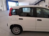  Fiat  Panda FIAT  / 2011 / 5P / BERLINA 1.0 70CV SeS HYBRID #31