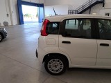 Fiat  Panda FIAT  / 2011 / 5P / BERLINA 1.0 70CV SeS HYBRID #33
