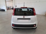  Fiat  Panda FIAT  / 2011 / 5P / BERLINA 1.0 70CV SeS HYBRID #40