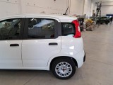  Fiat  Panda FIAT  / 2011 / 5P / BERLINA 1.0 70CV SeS HYBRID #42