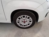 Fiat  Panda FIAT  / 2011 / 5P / BERLINA 1.0 70CV SeS HYBRID #51