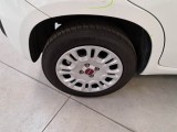  Fiat  Panda FIAT  / 2011 / 5P / BERLINA 1.0 70CV SeS HYBRID #53