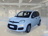  Fiat  Panda FIAT  / 2011 / 5P / BERLINA 1.0 70CV SeS HYBRID 